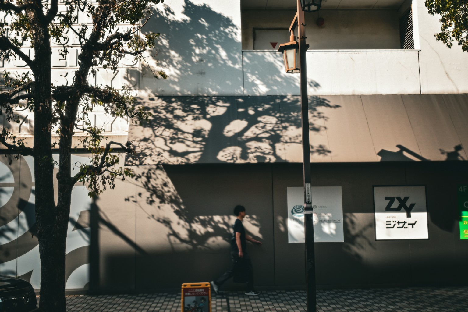 Traces — Fine Art